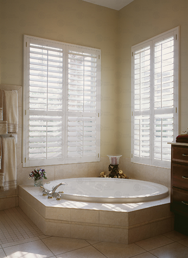 Shutters are excellent for privacy in the bathroom